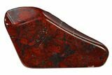 Polished Stromatolite (Collenia) - Minnesota #136921-1